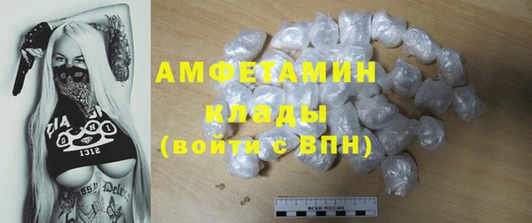 PSILOCYBIN Бородино