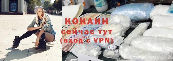 МДПВ Тайга