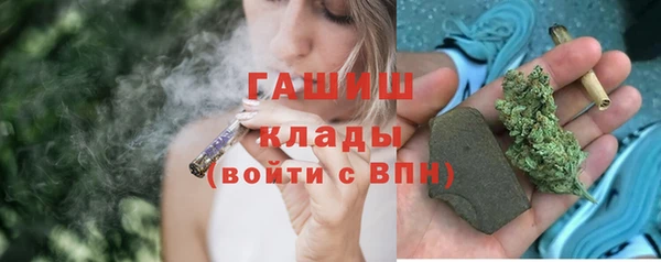 прущие грибы Дубна