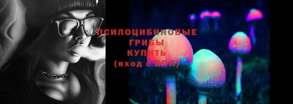 МДПВ Тайга