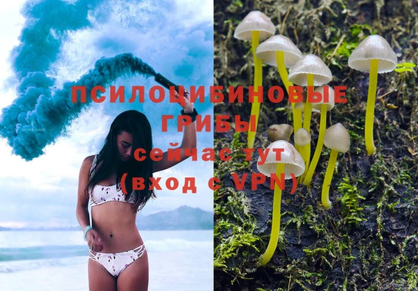 каннабис Сясьстрой