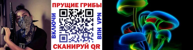 Псилоцибиновые грибы Psilocybe  ссылка на мегу ТОР  Гусев 