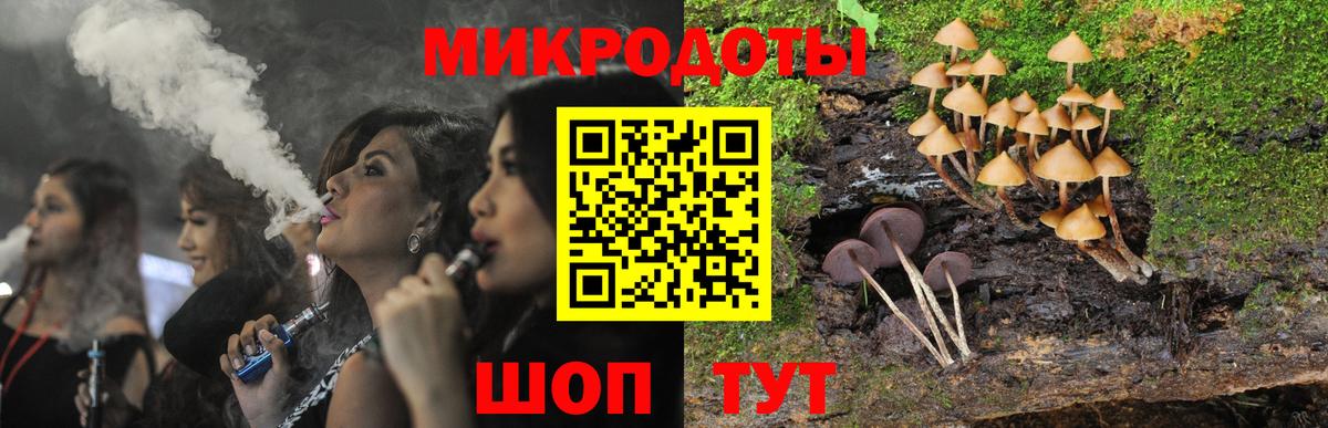 Галлюциногенные грибы Magic Shrooms Гусев
