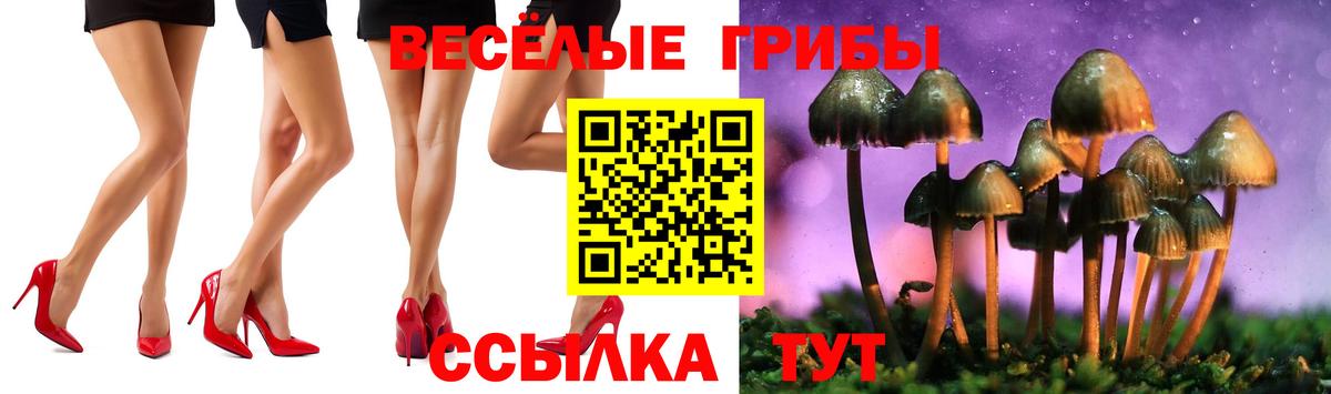 Галлюциногенные грибы Psilocybe  Вход с VPN  Гусев 